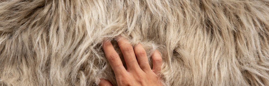 hand in een beigekleurige vacht