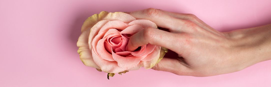 Roze lotusbloem met vinger op roze achtergrond