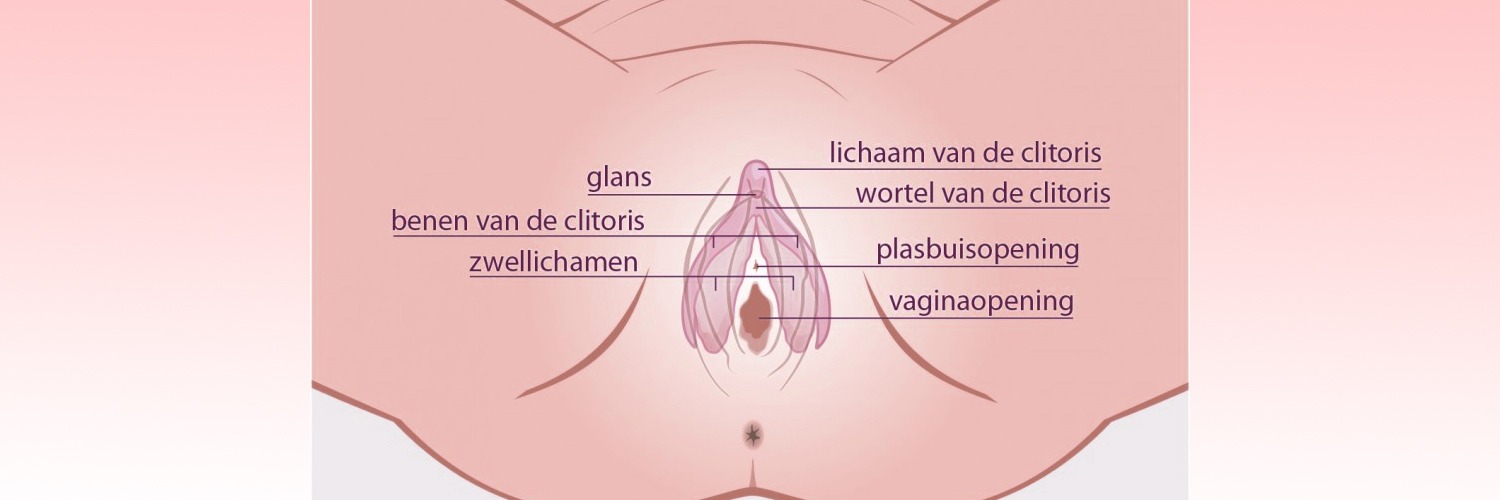 Clitoris vagina anatomie